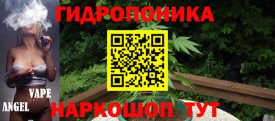 сатива Братск