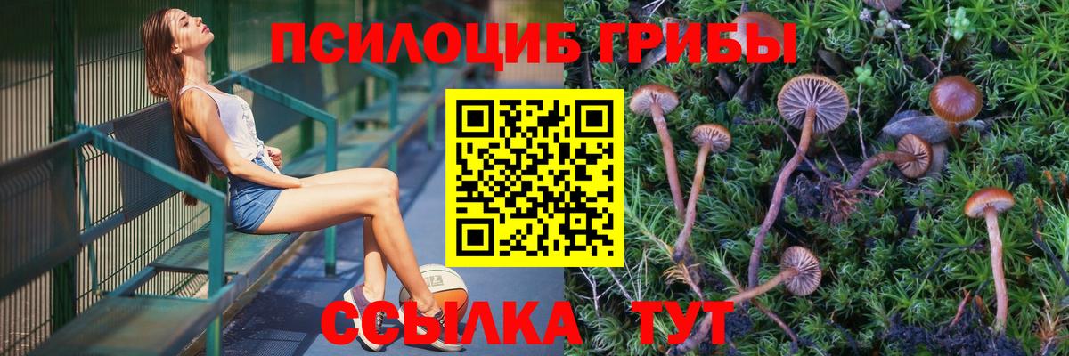 Галлюциногенные грибы Magic Shrooms Аргун