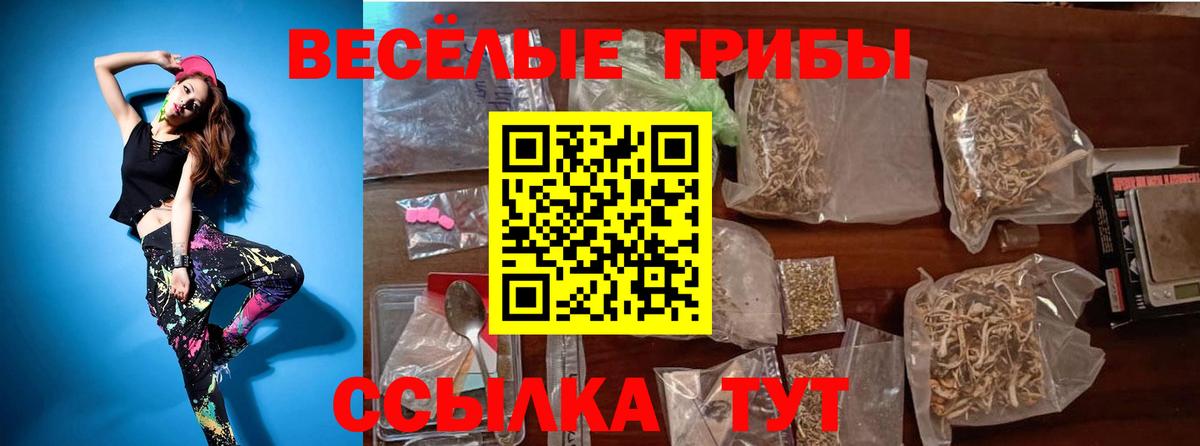 Аргун  Псилоцибиновые грибы MAGIC MUSHROOMS  Вход с VPN 